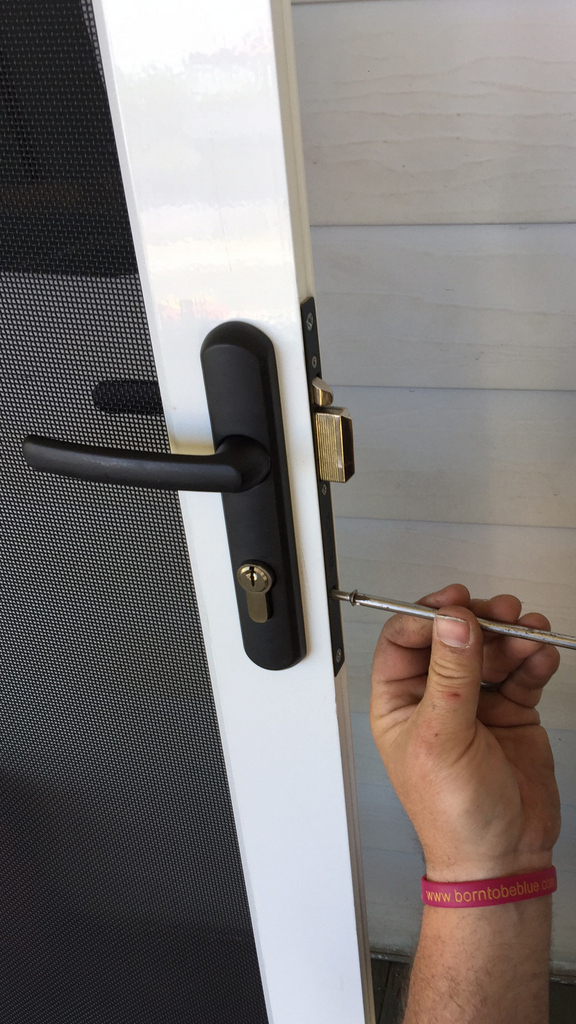 Expandoor Adjustable Hinged Screen Door