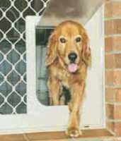 Pet Doors Online Pet Doors For Sale Designed For Easy Access