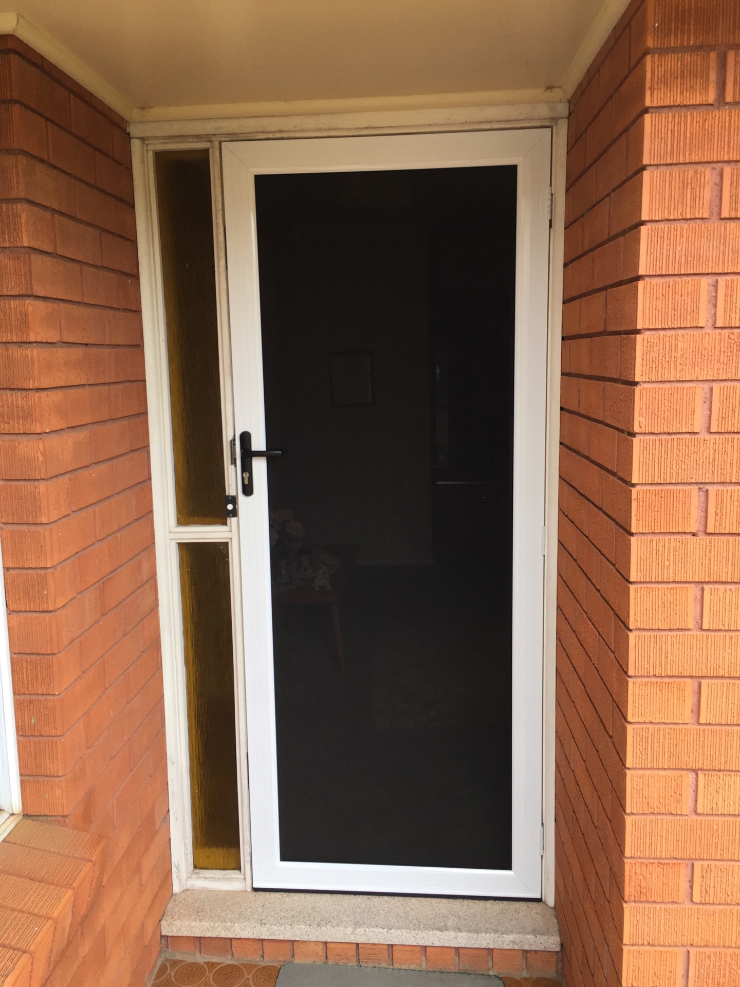 Security Hinged Screen Door Steel Mesh